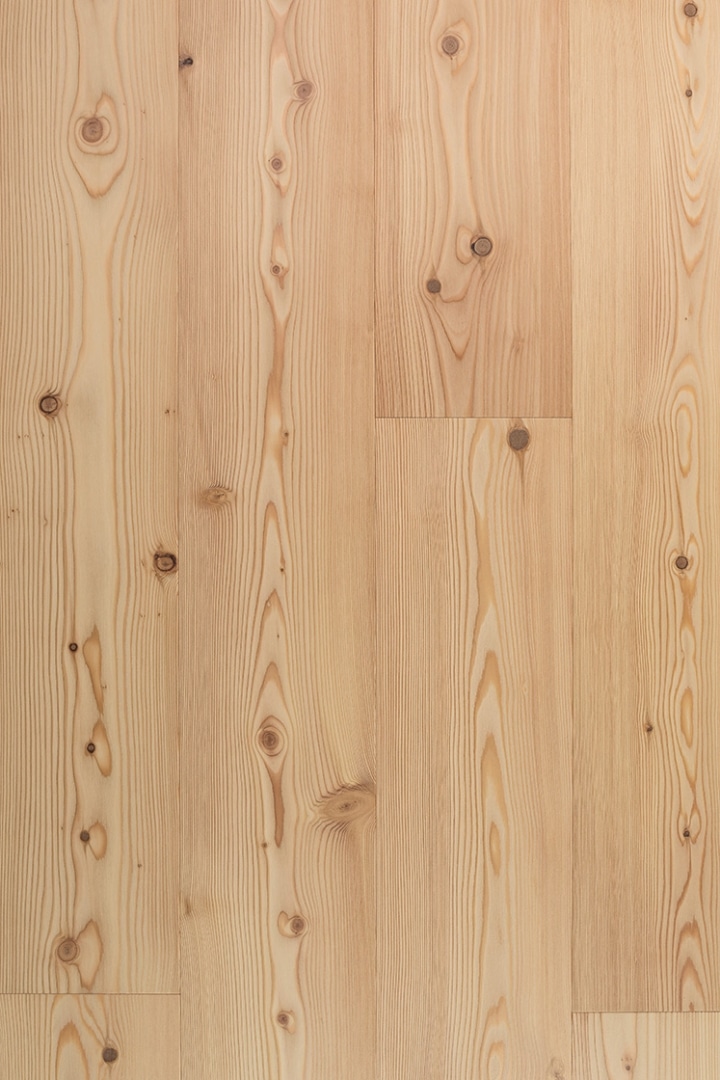 Admonter-Larch-Natura-Basic