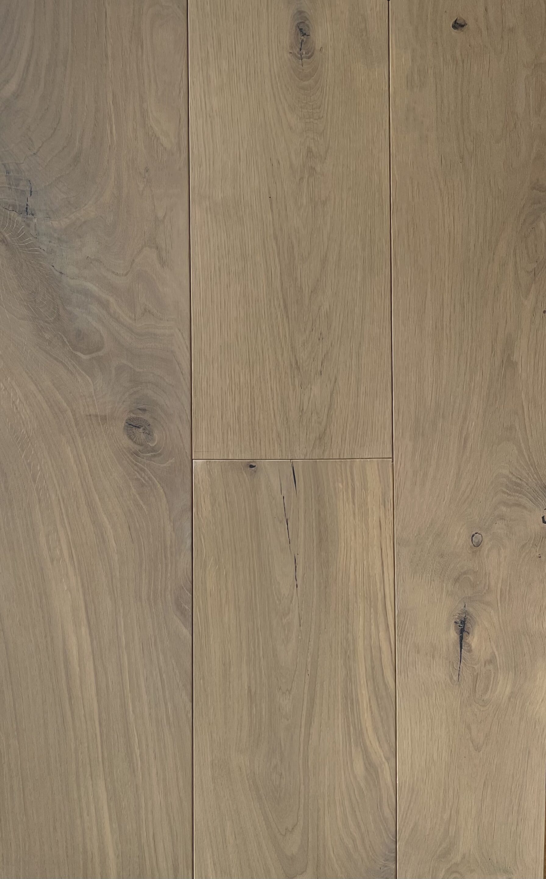 Moscow-Mule-Oak-edited