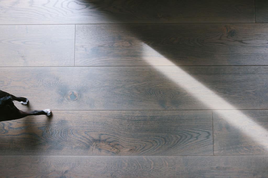 vienna_woods_maea_DEC23.26